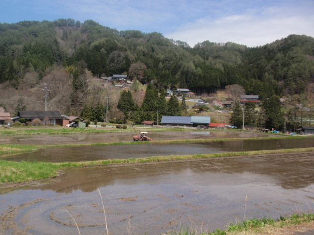 売木村