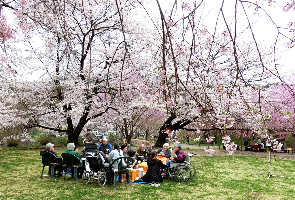 4 8 大草城址公園 927 南信州ナビ