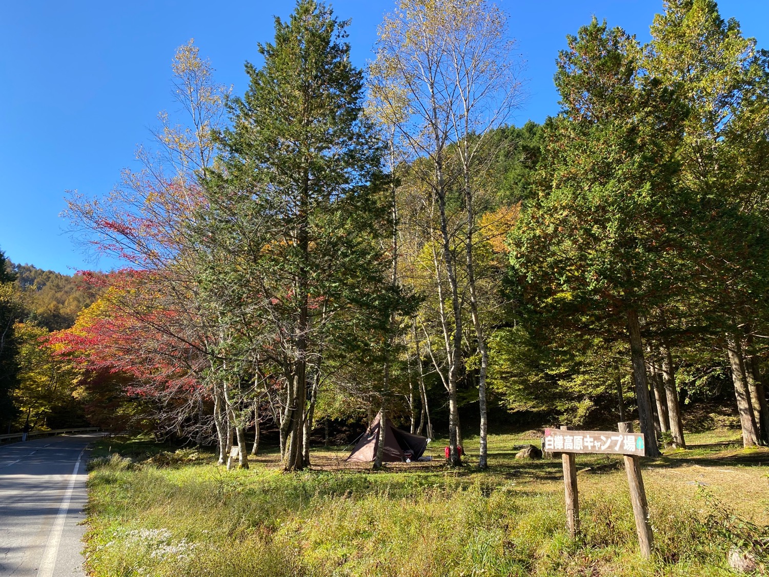 白樺高原キャンプ場