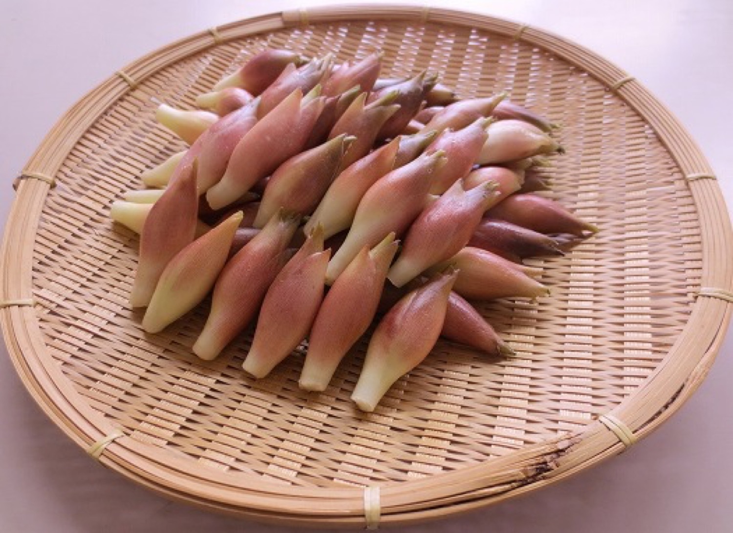 みょうが