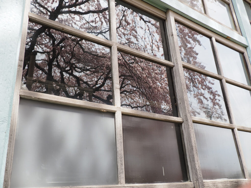 【191】学び舎［投稿者：マルヤマケンジさん］