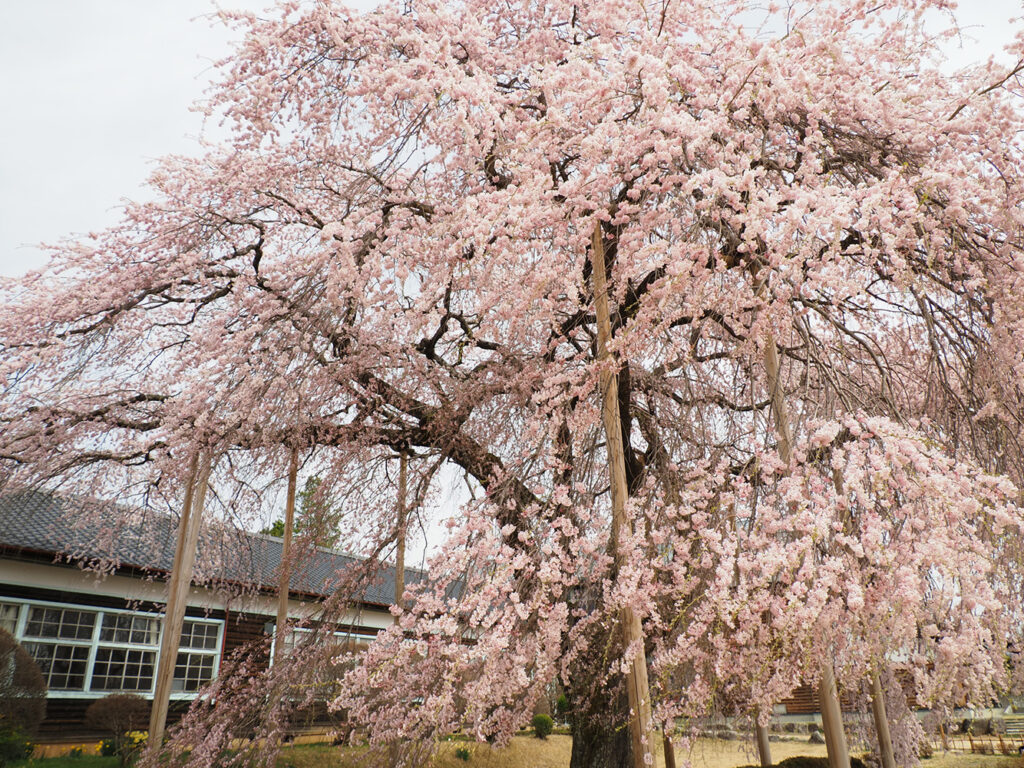 【193】学び舎［投稿者：マルヤマケンジさん］