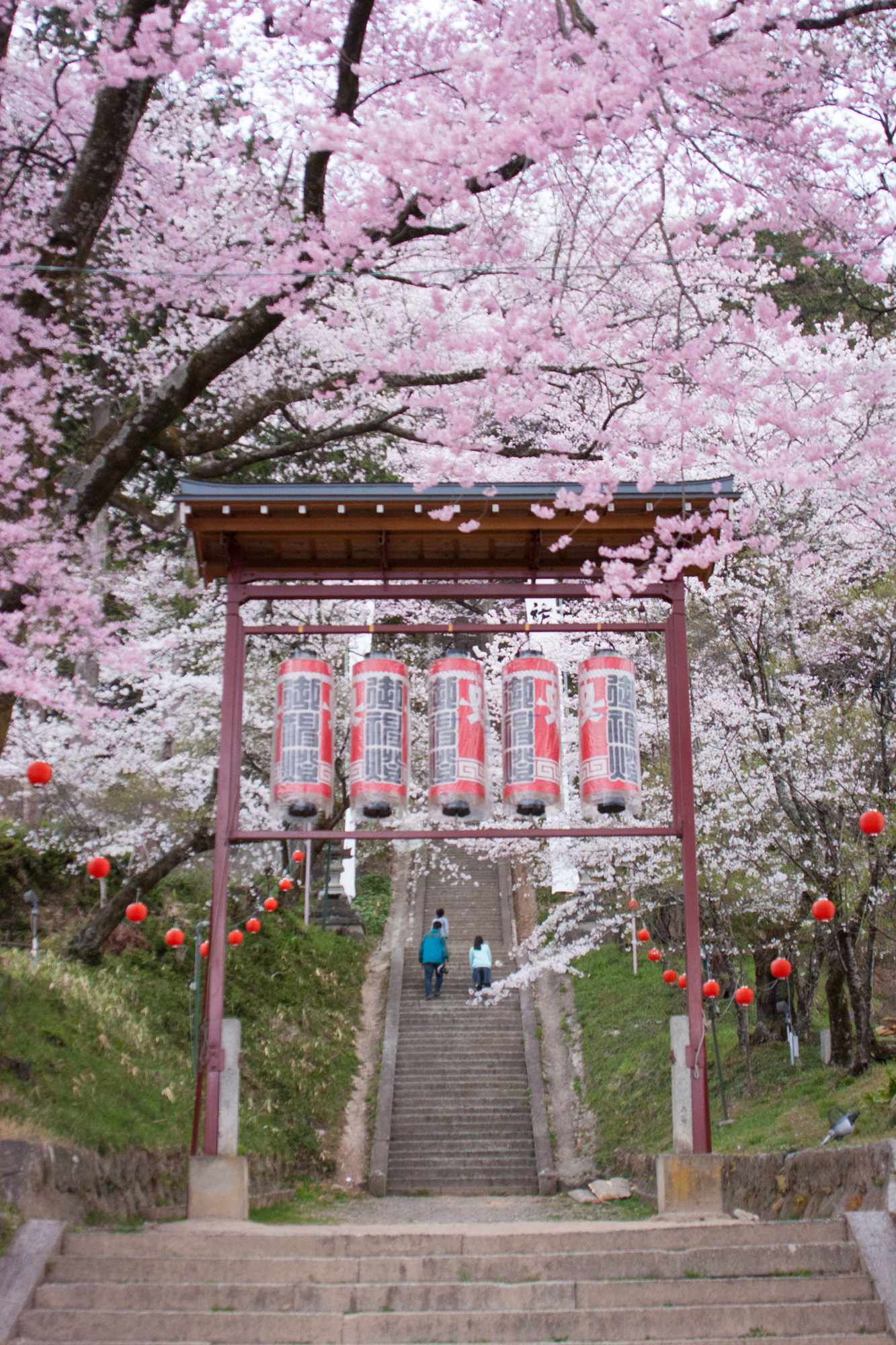飯沼諏訪神社の石段桜(飯田市)