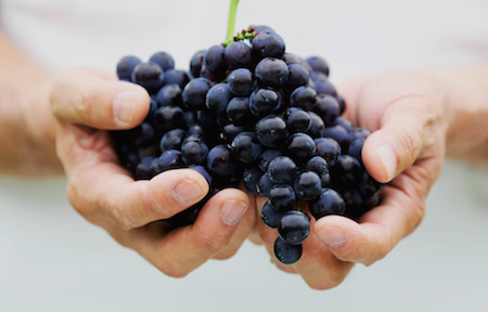 NAGANO WINE オフィシャルサイト